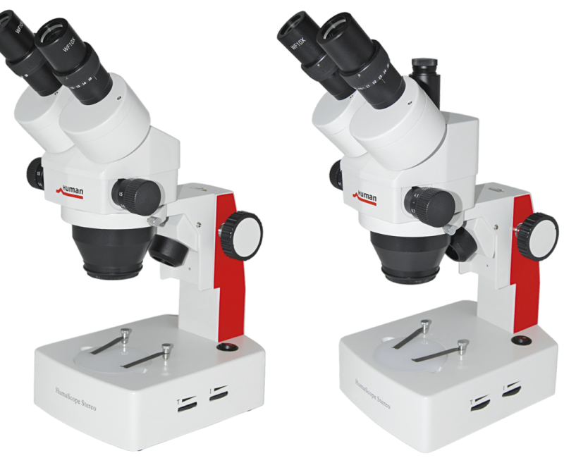 Microscopios estéreos
