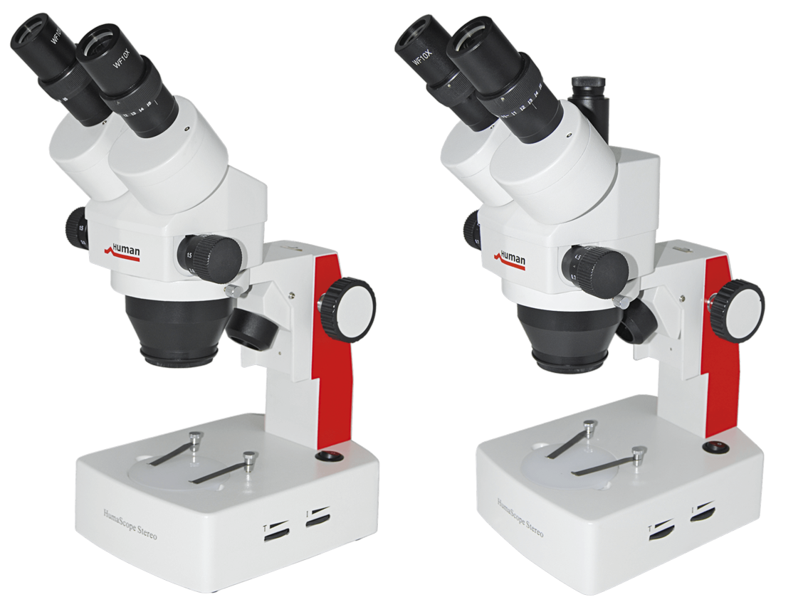 Microscopios estéreos