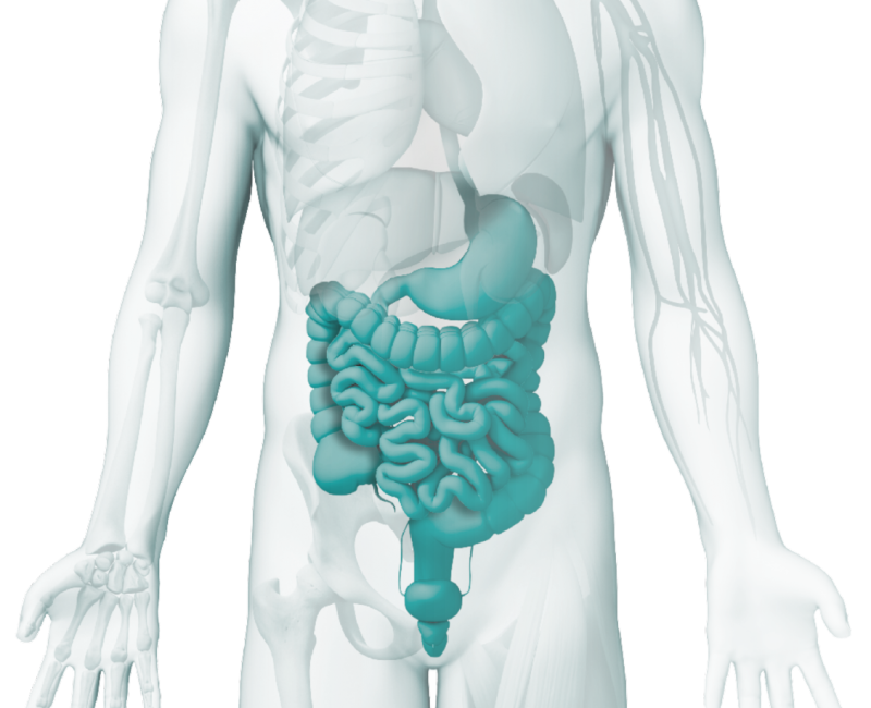 Gráfica - Gastroenterología