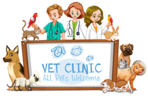 Vet Clinic Banner